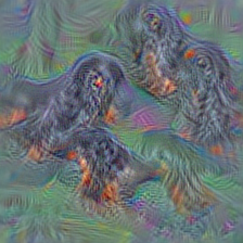 n02100877 Irish setter, red setter